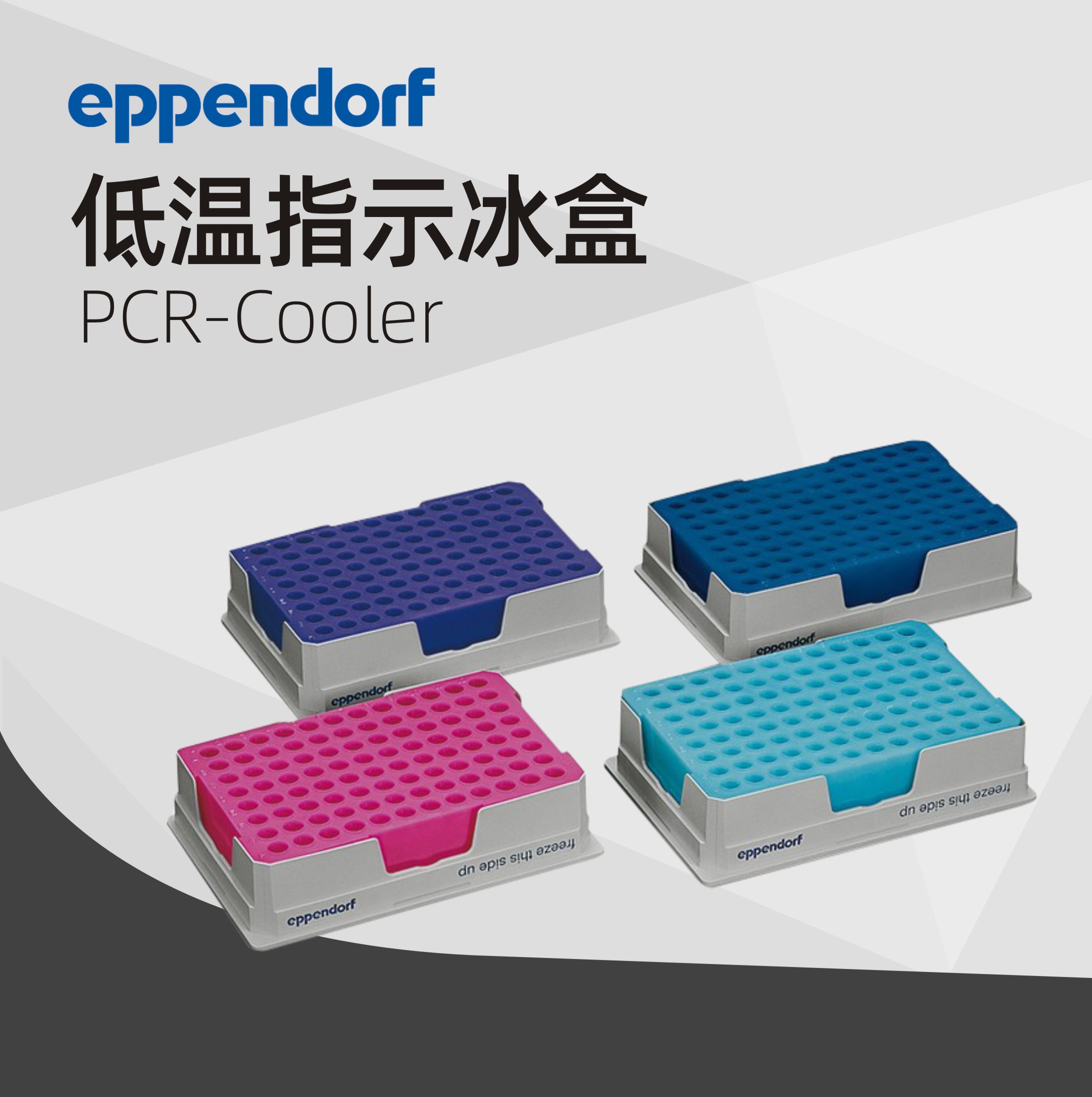 德國艾本德Eppendorf PCR-Cooler (0.2 mL) 低溫指示冰盒啟動套裝